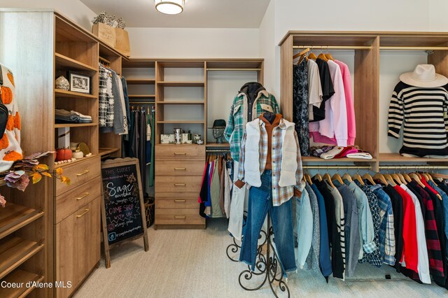 walk in closet with light colored carpet