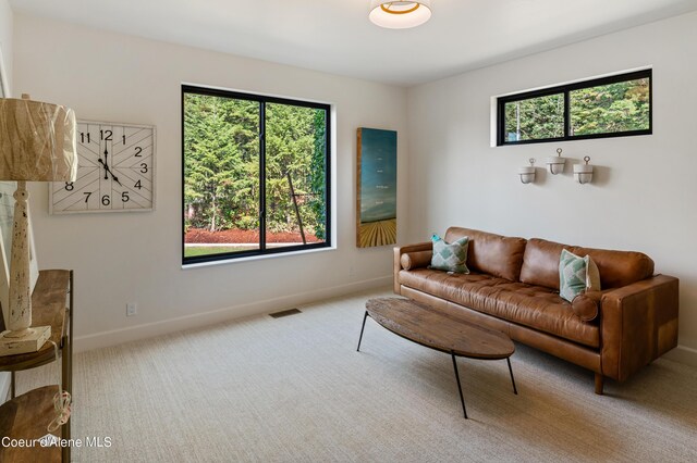 living room with light colored carpet