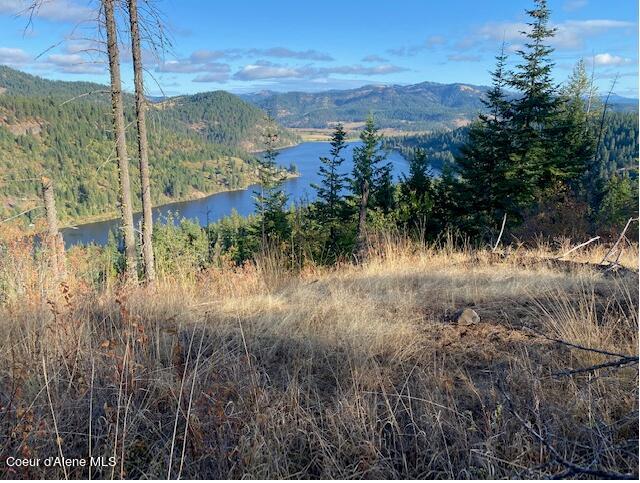 NKA Black Lake Rd, Saint Maries ID, 83861 land for sale