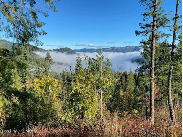 Listing photo 2 for NKA Black Lake Rd, Saint Maries ID 83861