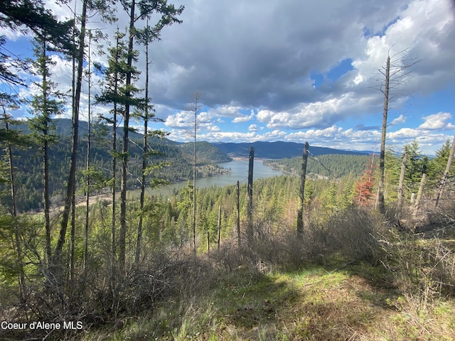 Listing photo 3 for NKA Black Lake Rd, Saint Maries ID 83861