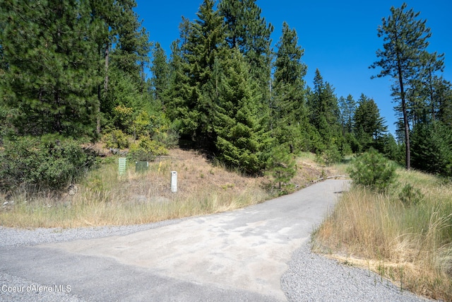 10795 W Bella Ridge Dr, Coeur Dalene ID, 83814 land for sale