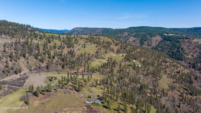 birds eye view of property featuring a mountain view