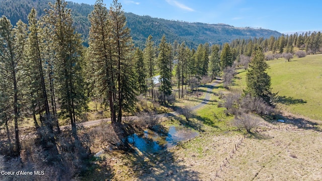 birds eye view of property featuring a mountain view