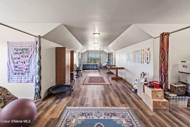 interior space with lofted ceiling, a textured ceiling, and dark hardwood / wood-style floors