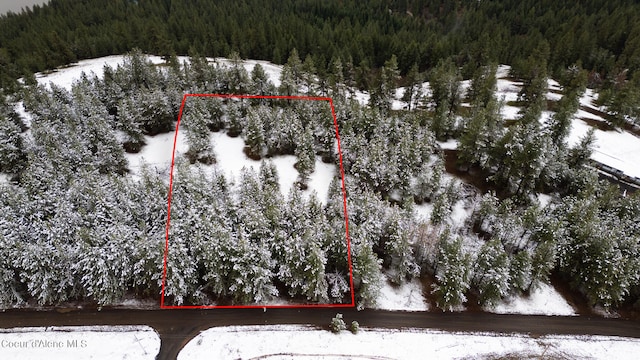 E Holiday Rd, Harrison ID, 83833 land for sale