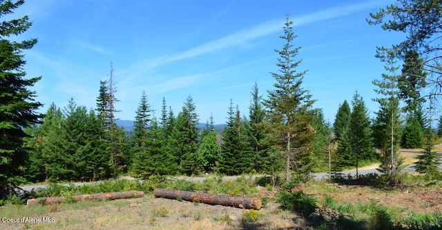 Listing photo 2 for L2B4 Kula Rd, Harrison ID 83833