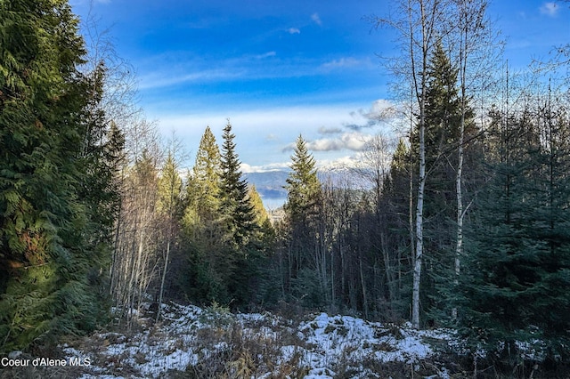 Listing photo 3 for LOT4B Moonbeam Rd, Sagle ID 83860