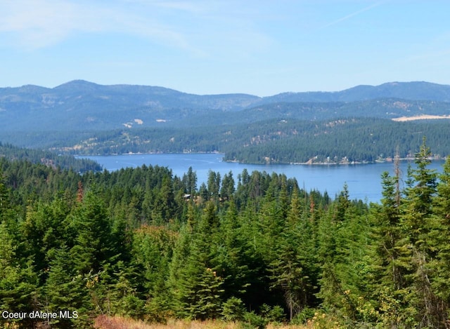 L2B9 Kapalua Rd, Harrison ID, 83833 land for sale