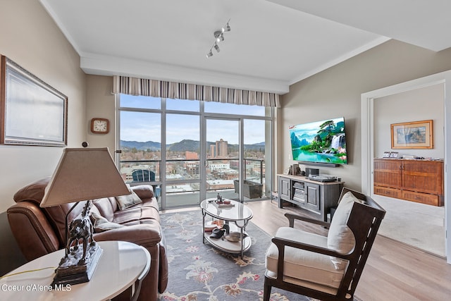 living room featuring light hardwood / wood-style flooring, ornamental molding, and rail lighting