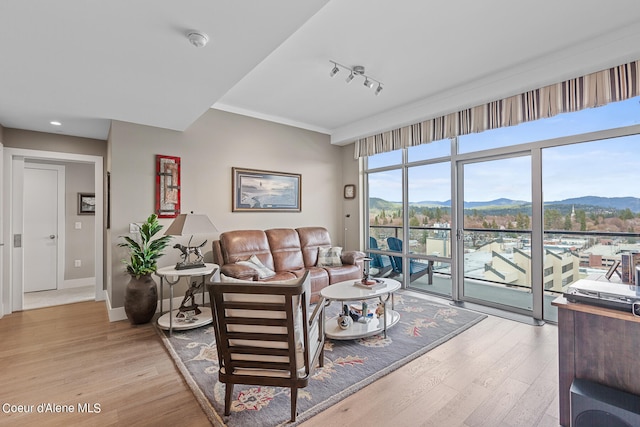 living room featuring rail lighting, ornamental molding, a mountain view, and light hardwood / wood-style floors