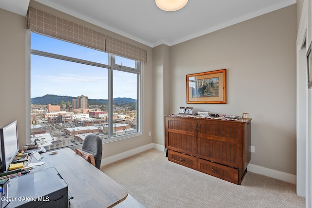 carpeted office with crown molding