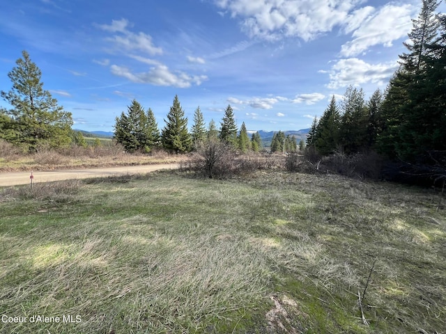 830 Pokey Creek Rd, Santa ID, 83866 land for sale