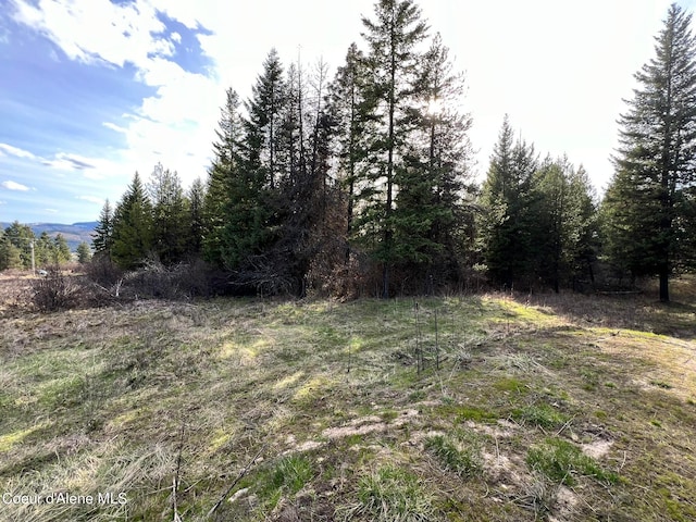 Listing photo 2 for 830 Pokey Creek Rd, Santa ID 83866