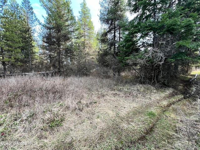 Listing photo 3 for 830 Pokey Creek Rd, Santa ID 83866