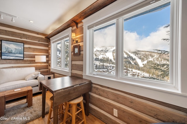 living room with wood-type flooring, rustic walls, a mountain view, and rail lighting