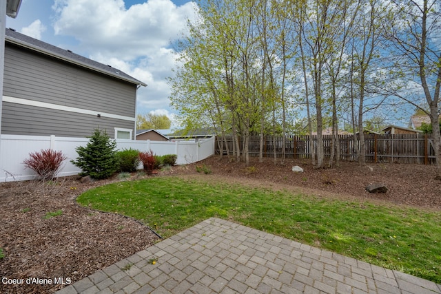 view of yard featuring a patio