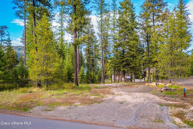 Listing photo 3 for NKA Deeter Dr, Priest River ID 83856