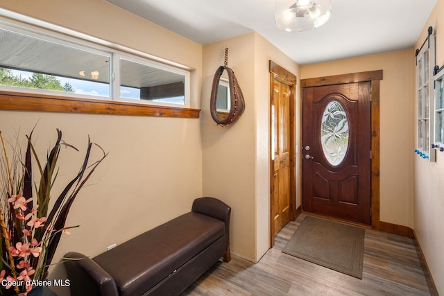 entrance foyer featuring hardwood / wood-style flooring