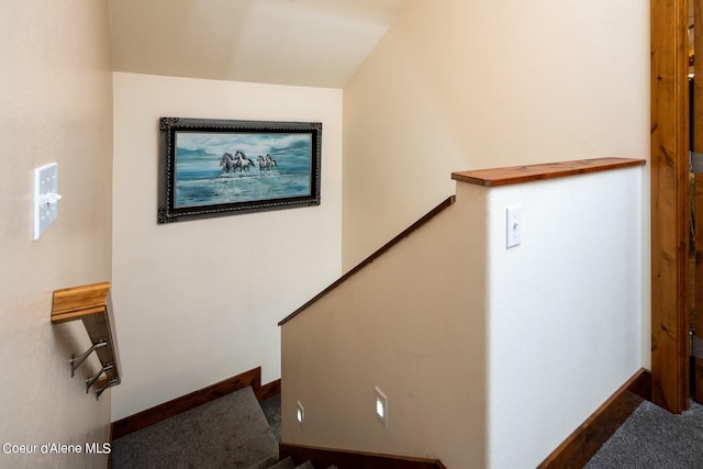 stairs with carpet flooring