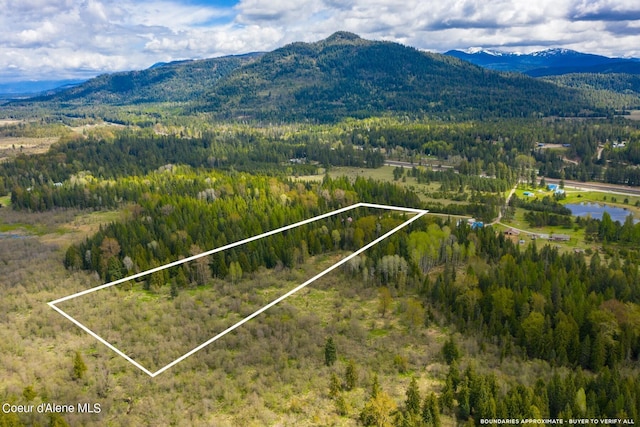 drone / aerial view featuring a mountain view