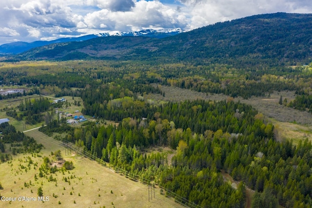 view of mountain feature