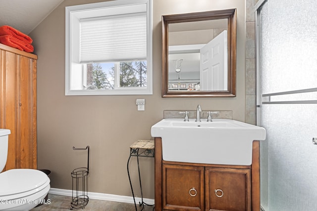 bathroom with vanity, toilet, and walk in shower