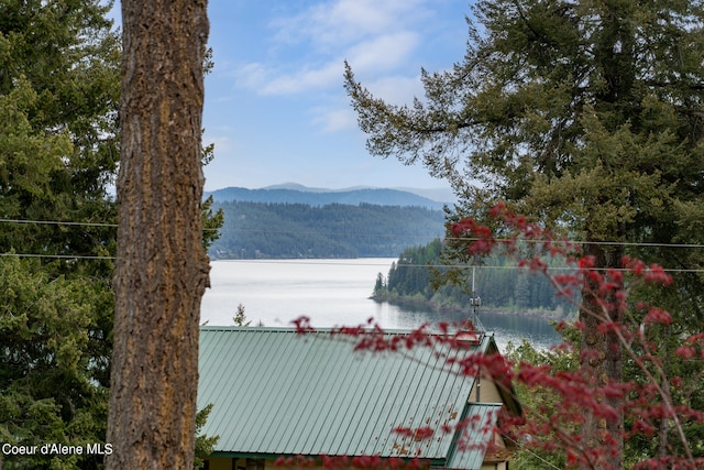 property view of water featuring a mountain view