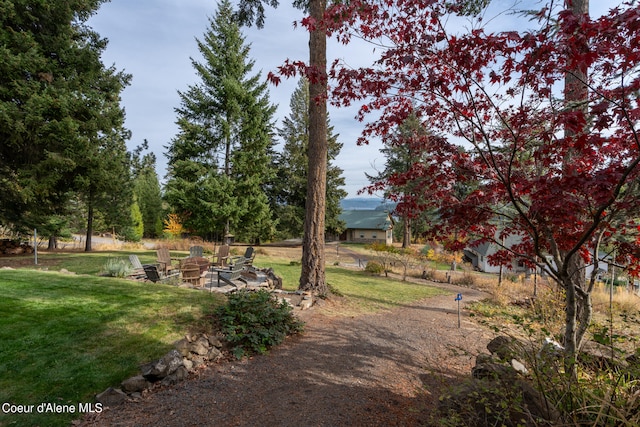 view of yard featuring a patio area