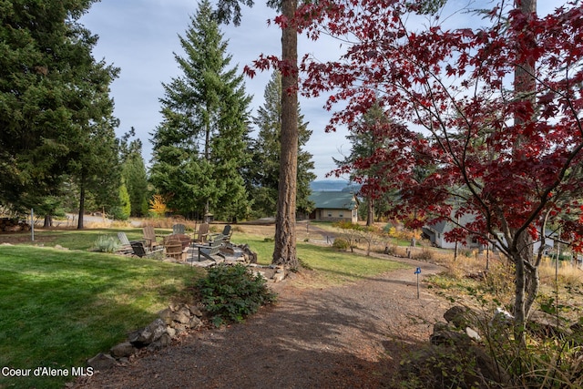 21651 S Lakeview Dr, Worley, ID 83876 - view of home's community with an outdoor fire pit and a lawn