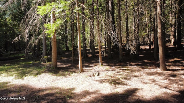 view of local wilderness