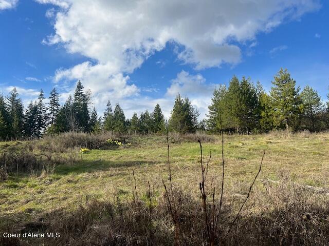 630 Willow Loop Rd, Fernwood ID, 83830 land for sale