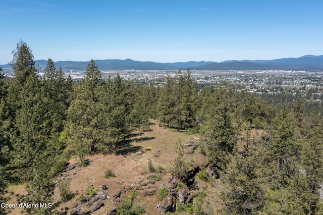 Listing photo 3 for NKA W Riverview Dr, Post Falls ID 83854