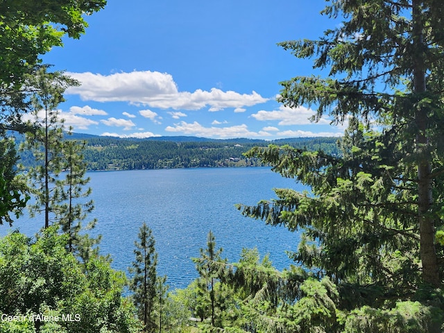 S Evergreen Ln, Coeur Dalene ID, 83814 land for sale