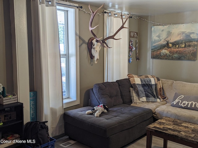 living room with hardwood / wood-style floors