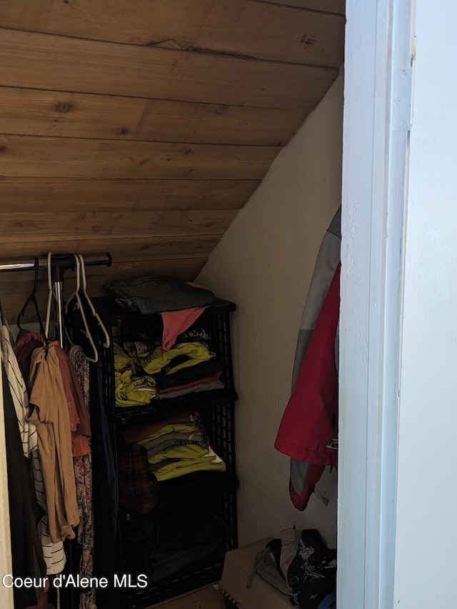 view of walk in closet