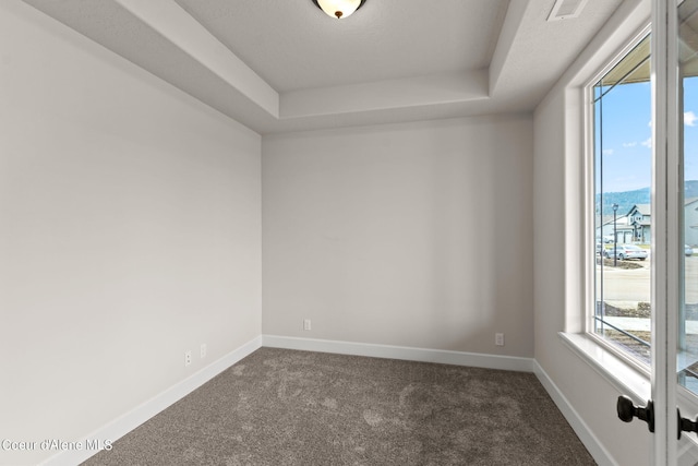 empty room featuring plenty of natural light, a raised ceiling, and carpet flooring