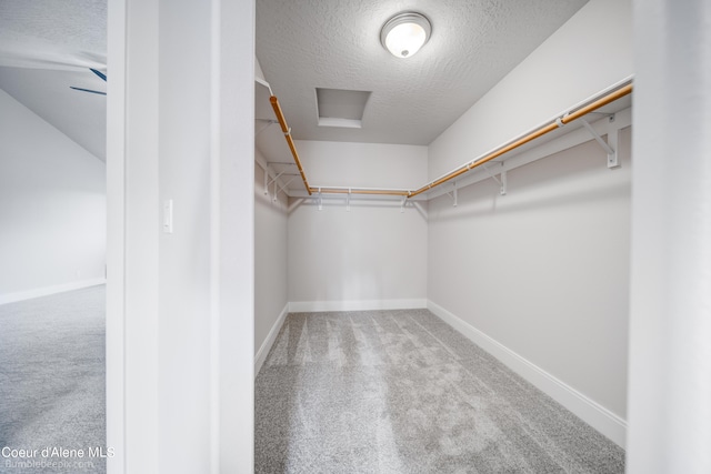 walk in closet featuring carpet