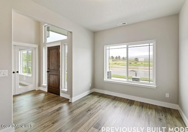 foyer with a healthy amount of sunlight and wood-type flooring