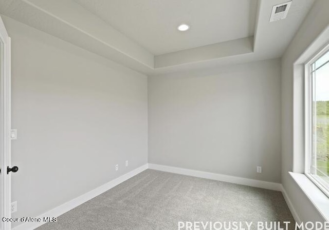 spare room featuring a tray ceiling and carpet