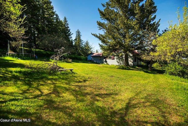 view of yard featuring a trampoline