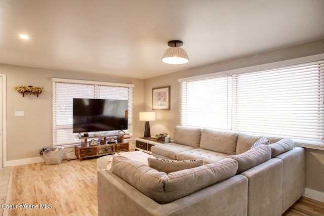 living room featuring light hardwood / wood-style flooring