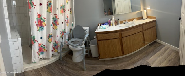 bathroom featuring wood-type flooring, vanity, toilet, and curtained shower