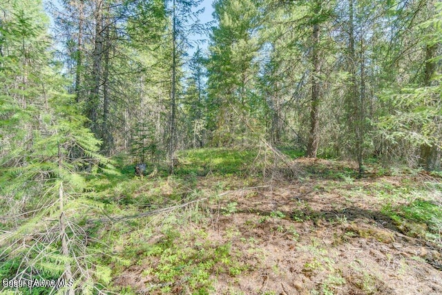 Listing photo 3 for LOT4 Goldfinch Ln, Spirit Lake ID 83869