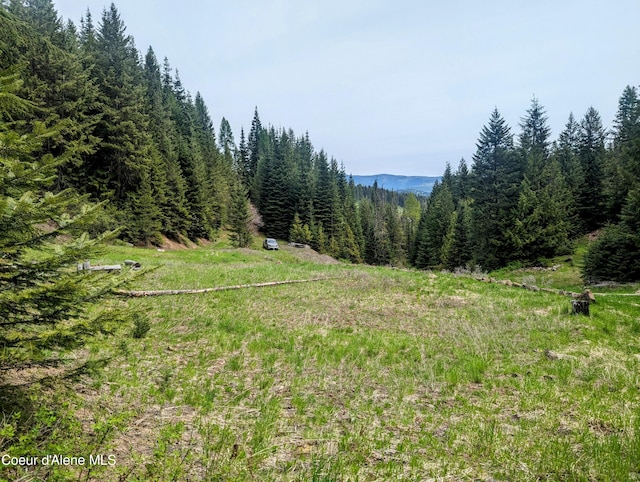 NKA Gold Ridge Rd, Saint Maries ID, 83861 land for sale