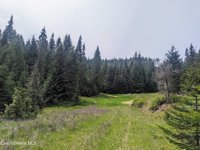 Listing photo 3 for NKA Gold Ridge Rd, Saint Maries ID 83861