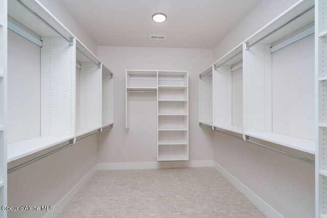 walk in closet with light colored carpet