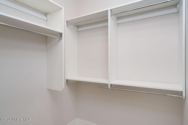 view of spacious closet