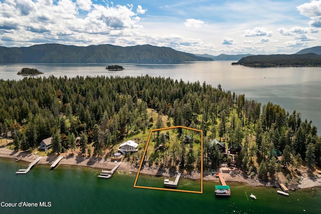 1930 Warren Island Shrs, Hope, ID 83836 - birds eye view of property with a water and mountain view