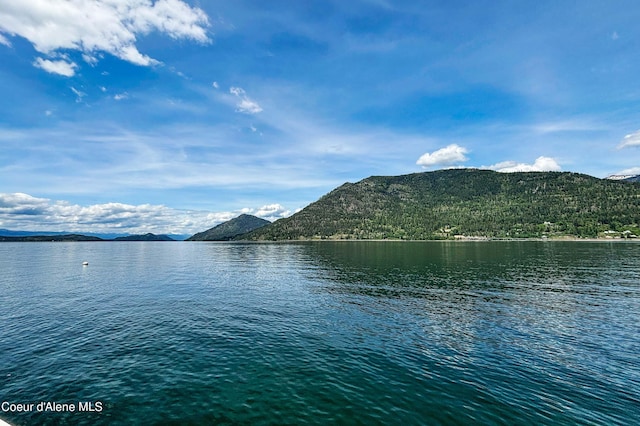 1930 Warren Island Shrs, Hope, ID 83836 - water view featuring a mountain view